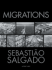 Migrations: Humanity in Transition