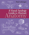 Visual Analogy Guide to Human Anatomy