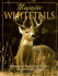 Majestic Whitetails