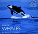 Killer Whales