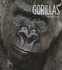 Gorillas