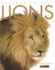 Amazing Animals: Lions