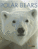 Amazing Animals: Polar Bears