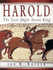 Harold the Last Anglo Saxon King