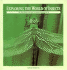 Exploring the World of Insects: the Equinox Guide to Insect Behavior