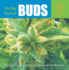 The Big Book of Buds, Vol. 2: More Marijuana Varieties From the World's Great Seed Breeders (Big Book of Buds, 2)