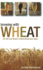 Brewing With Wheat