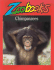 Chimpanzees (Zoobooks Series)