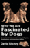 Why We Are Fascinated By Dogs