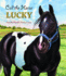 Call the Horse Lucky Format: Hardcover