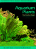 Aquarium Plants: the Practical Guide