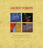 Ancient Forests: a Closer Look at Fossil Wood