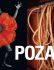 Poza: on the Polishness of Polish Contemporary Art