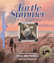 Turtle Summer: a Journal for My Daughter