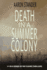 Death in a Summer Colony