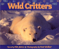 Wild Critters