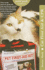 Cat First Aid & Cpr