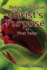 Peter's Vision of Christ's Purpose: in First Peter