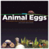 Animal Eggs: an Amazing Clutch of Mysteries and Marvels