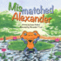 Mismatched Alexander