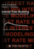 Interest Rate Modeling Volume 1 Foundations and Vanilla Models