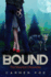 Bound Volume 2 the Silverton Chronicles