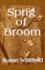 Sprig of Broom