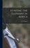 Hunting the Elephant in Africa