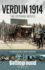 Verdun 1914: the Opening Moves