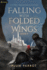 Falling with Folded Wings 3: A Litrpg Progression Fantasy