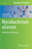 Mycobacterium Ulcerans: Methods and Protocols