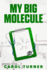 My Big Molecule