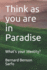 Think as you are in Paradise: What's your Identity?