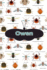 Owen: Bug Insect Draw and Write Journal Notebook 120 Pages 6x9