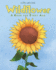 Wildflower a Book for Every Age