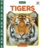 Tigers