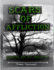 Scars of Affliction Forgiven, But Not Forgotten