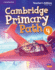 Cambridge Primary Path Level 4 Teacher's Edition