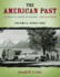 The American Past: a Survey of American History, Volume II: Since 1865