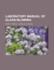 Laboratory Manual of Glass-Blowing,