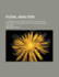 Fugal Analysis: a Companion to "Fugue"