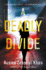 A Deadly Divide: a Mystery (Rachel Getty and Esa Khattak Novels, 5)