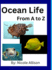 Ocean Life: A to Z