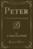 Peter a Novel of Which He is Not the Hero Classic Reprint