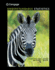 Understandable Statistics: Concepts and Methods (Ap Edition)
