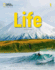 Life 1 With Web App (Ngl Life)