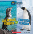 Emperor Penguin: Or, Galapagos Penguin