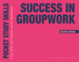 Success in Groupwork Format: Paperback