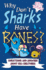 Why Don't Sharks Have Bones? : Questions and Answers About Sea Creatures