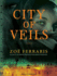 City of Veils: a Novel (Audio Cd)